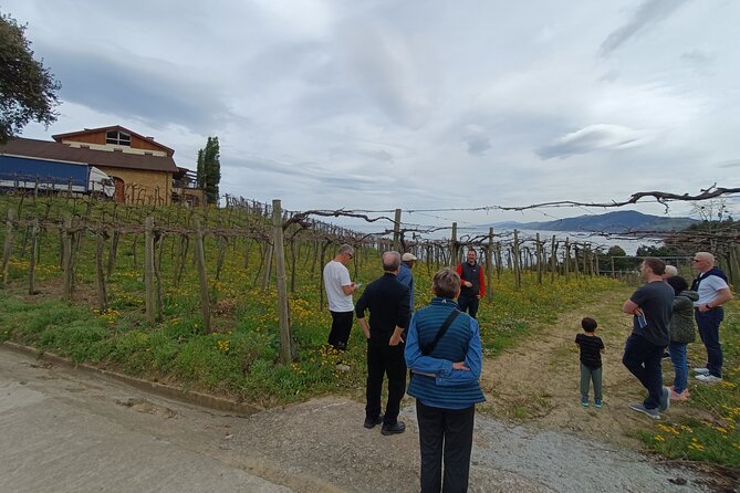 Private Half Day Txakoli Wine Tour & Getaria Fishing Village - Destination Experiences