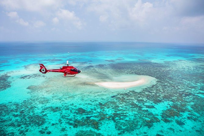 Private Helicopter Tour: Reef Island Snorkeling and Gourmet Picnic Lunch - Common questions