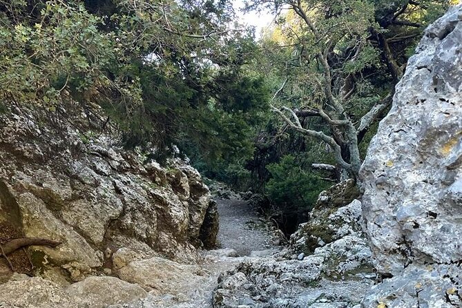 Private Hiking Tour in Imbros Gorge (Chania) - Cancellation Policy