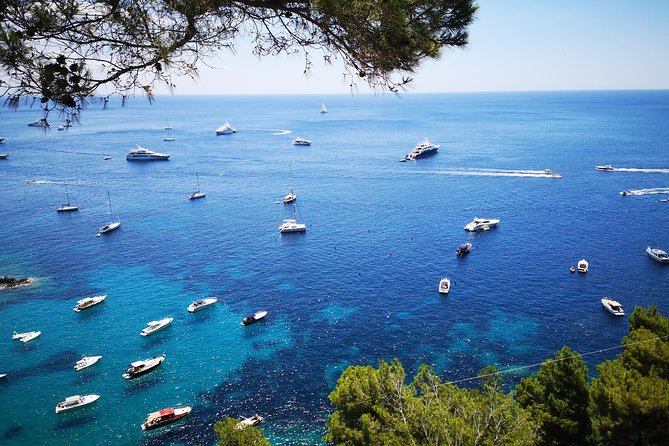 Private Island of Capri Boat Tour for Couples - Tour Highlights and Recommendations