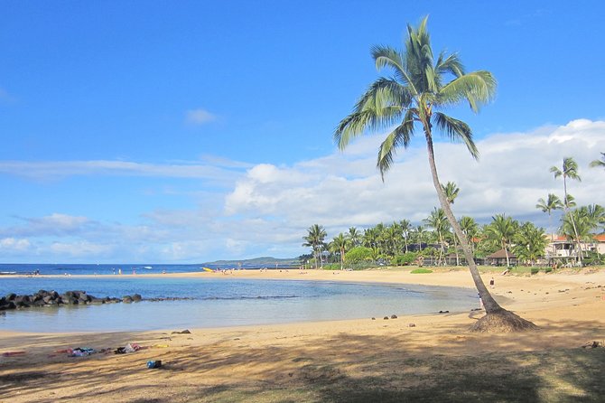 Private Luxury Tour of Kauai: South & West Shores - Customer Reviews and Ratings