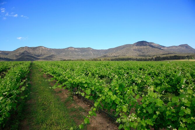 Private Luxury Tour: Tastes of the Hunter Valley - Common questions