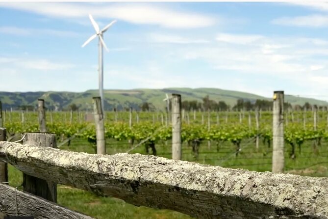 Private Martinborough Wine Tour in an Electric Vehicle - Tesla Model Y - Booking and Availability