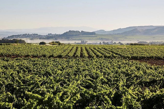 Private Montserrat Tour & Organic Farming Winery Local Lunch - Customer Support