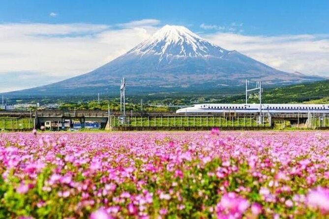 Private Mount Fuji and Hakone Sightseeing Day Trip With Guide - Additional Details