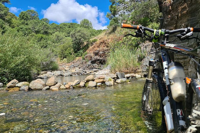 Private Mountain Bike Tour in Sierra Bermeja, Estepona - Cancellation Policy