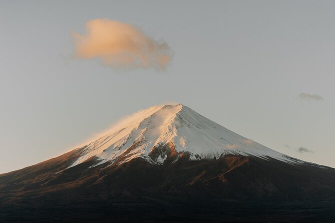 Private Mt Fuji, Hakone and Tokyo Tour-English Speaking Chauffeur - Additional Information