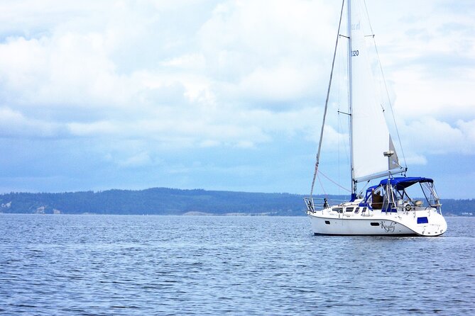 Private Sailing Adventure on the Puget Sound - Marine Wildlife Sightings