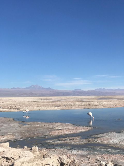 Private San Pedro De Atacama: 3-Day Classic Activity Combo - Location and Gift Option