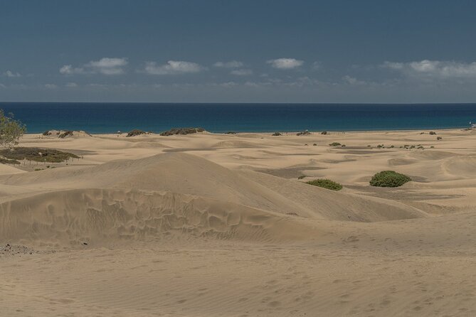 Private Shore Excursion in Gran Canaria the Miniature Continent - Traveler Reviews and Ratings
