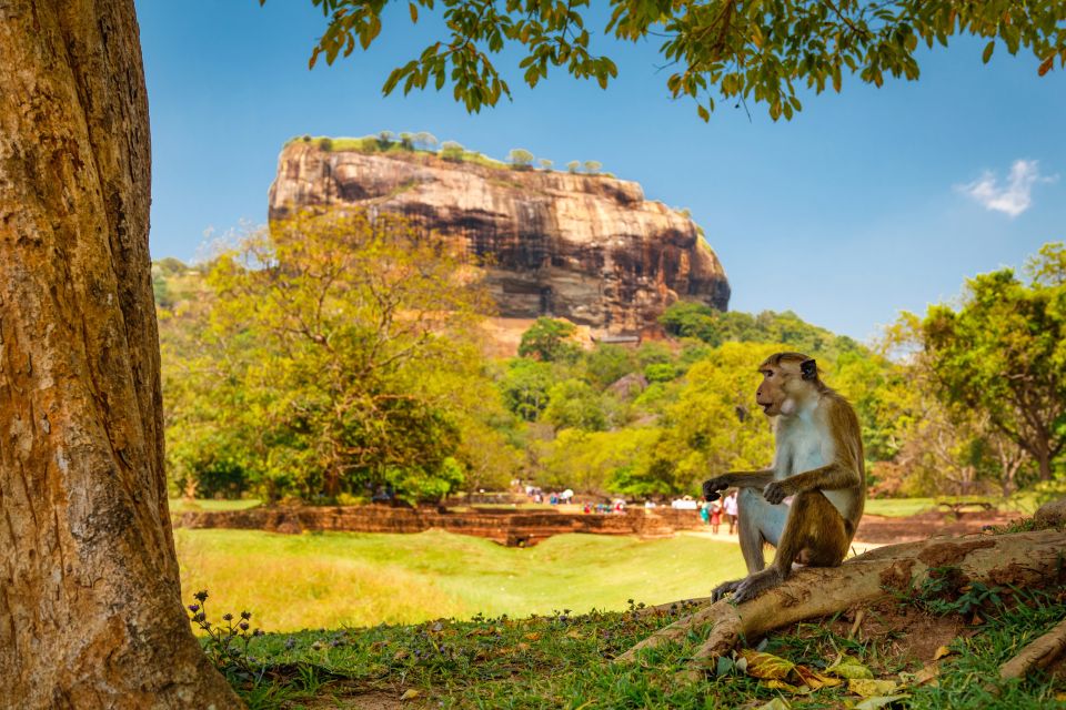 Private Sigiriya and Dambulla Day Tour From Kaluthara - Location and Additional Information