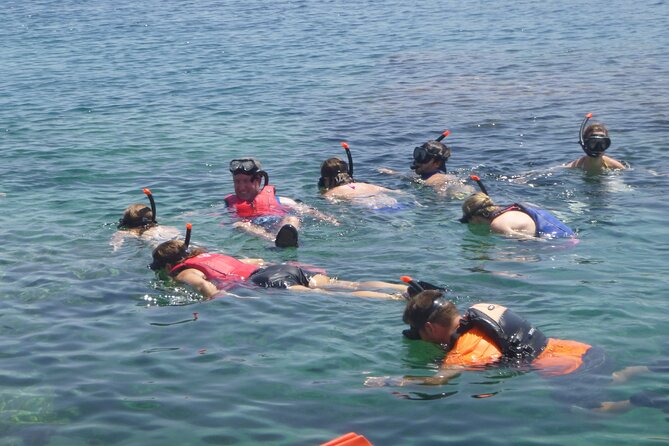 Private Snorkel Adventure & Kayak Taster Session With Transfer - Activity Inclusions