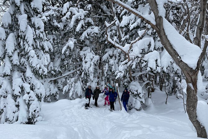 Private Snow Shoe Tour in Shiretoko National Park - Common questions