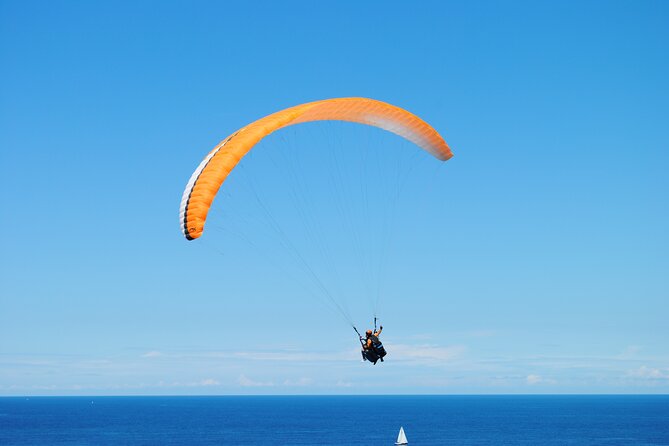 Private Tandem Paragliding Flight in Bizkaia - Accessibility Information
