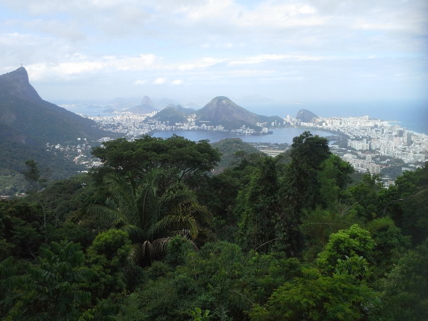 Private Tijuca Forest & Botanical Garden Guided Tour - Additional Information