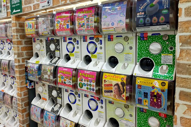 Private Tour Akihabara Adventure Explore Tokyos Electric Town - Feedback and Reviews From Guests