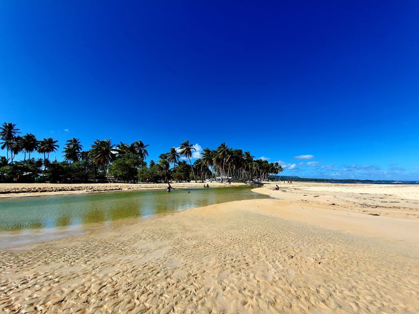 Private Tour: Dudu Cenotes Playa Grande Beach Much More - Other Available Tours