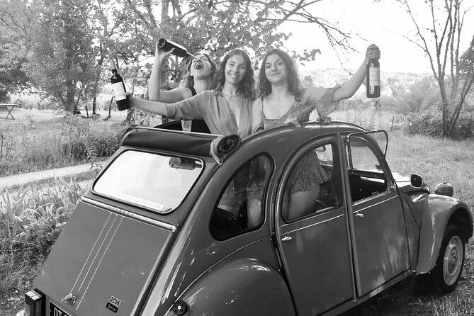 Private Tour in 2cv in the Vineyards With Tasting and Picnic - Booking Information