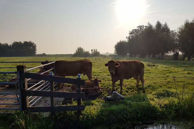 Private Tour to Zaanse Schans &Volendam: Cheese, Windmills, Clogs - Common questions