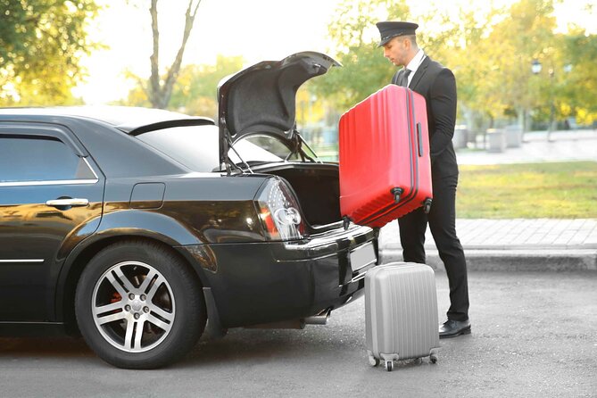 Private Transfer From Copenhagen Airport to Copenhagen Port - Additional Luggage and Flight Details