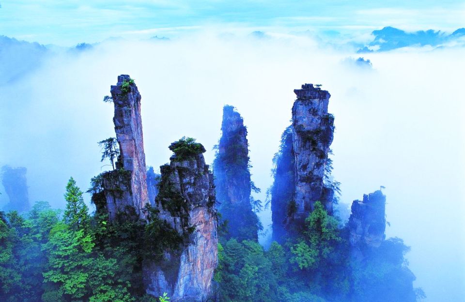 Private Trip of Zhangjiajie National Park and Glass Bridge - Customer Feedback and Service