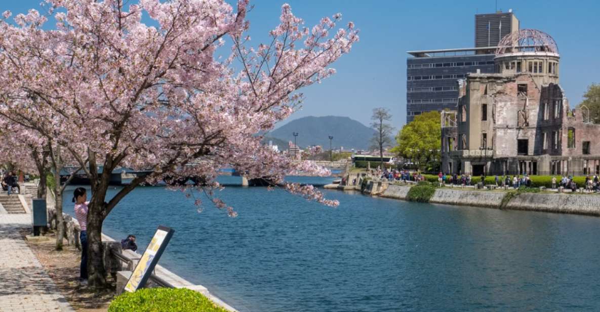 Private & Unique Hiroshima Cherry Blossom Sakura Experience - Directions for Booking