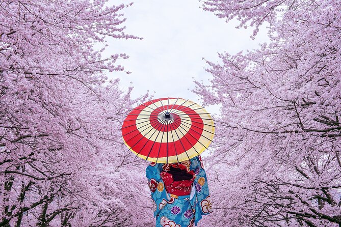 Private & Unique Tokyo Cherry Blossom "Sakura" Experience - Directions
