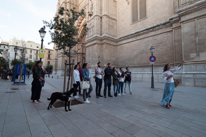 Private Walking Tour in Palma De Mallorca With Local Guides. - Customization Options