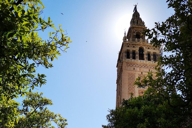 Private Walking Tour in Seville City Center - Traveler Engagement and Reviews