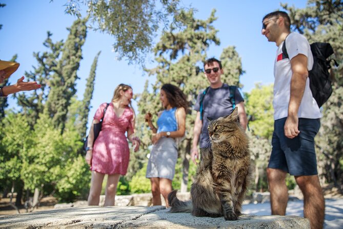 Private Walking Tour The Acropolis - Cancellation Policy