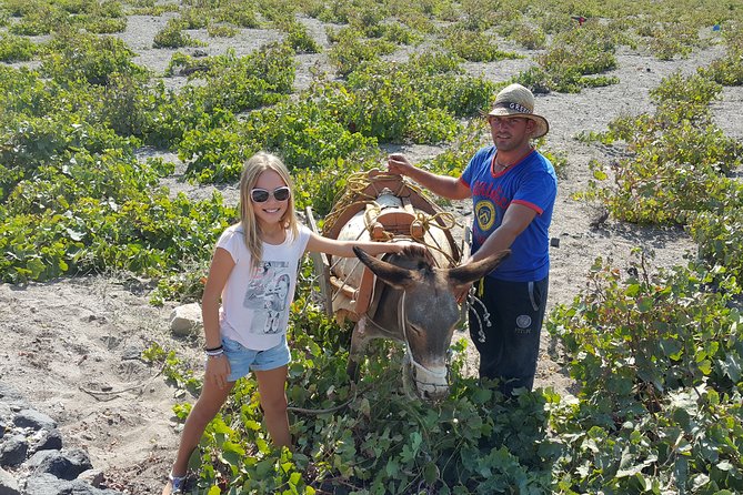 Private Wine Tasting Tour of Santorini - Directions