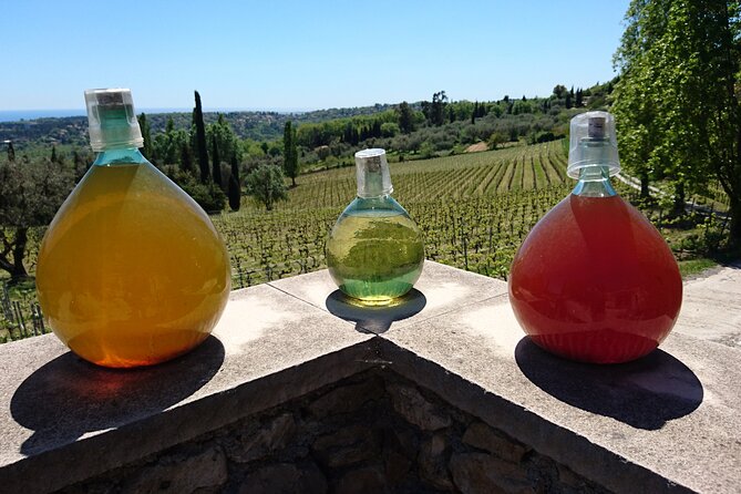 Private Wine Tour of the Vineyards on the French Riviera - Unique Wine-making Processes