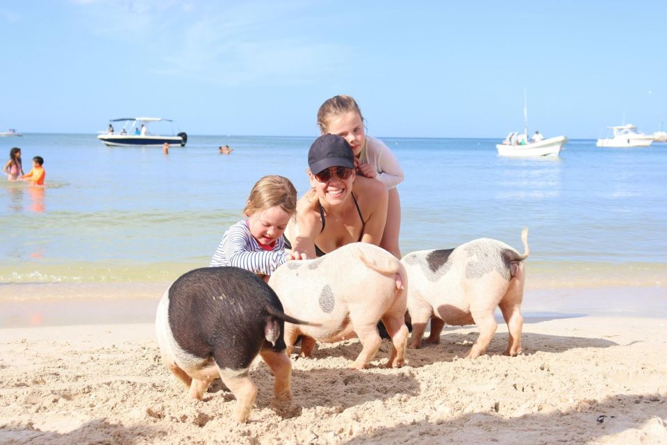 Progreso Island Swing and Pig Beach Club Day Pass - Additional Information