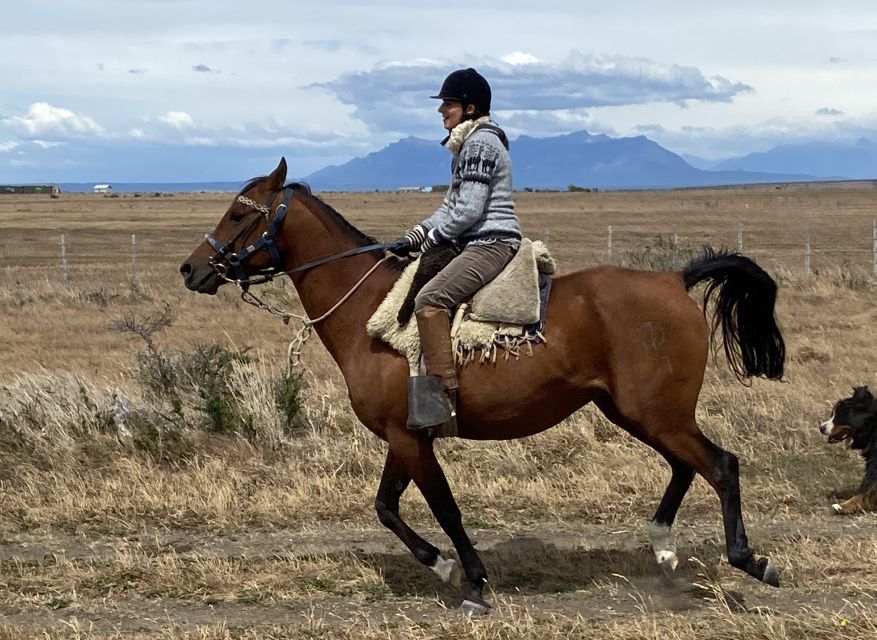 Puerto Natales: Horseback Riding With Horse Connection - Customer Reviews