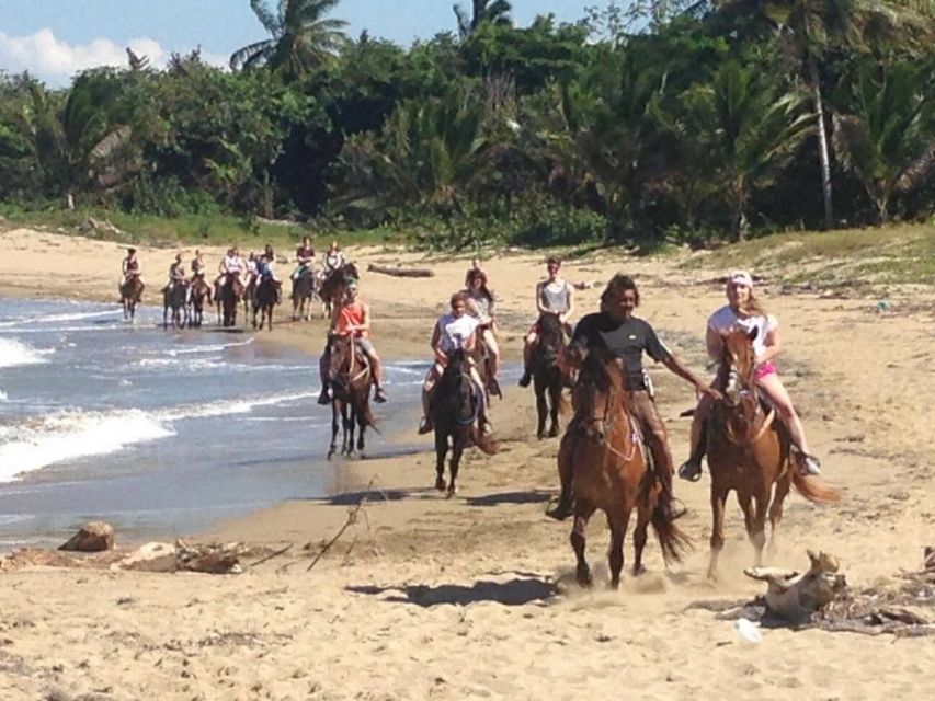 Puerto Plata: Horseback Riding on the Beach - Directions for Horseback Riding