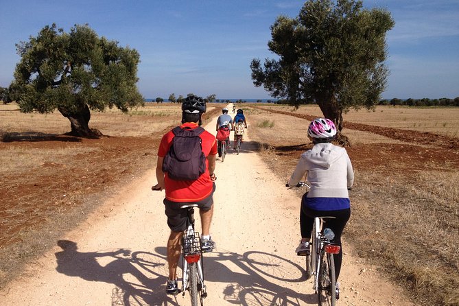 Puglia Bike Tour: Cycling Through the History of Extra Virgin Olive Oil - Viator Company Information
