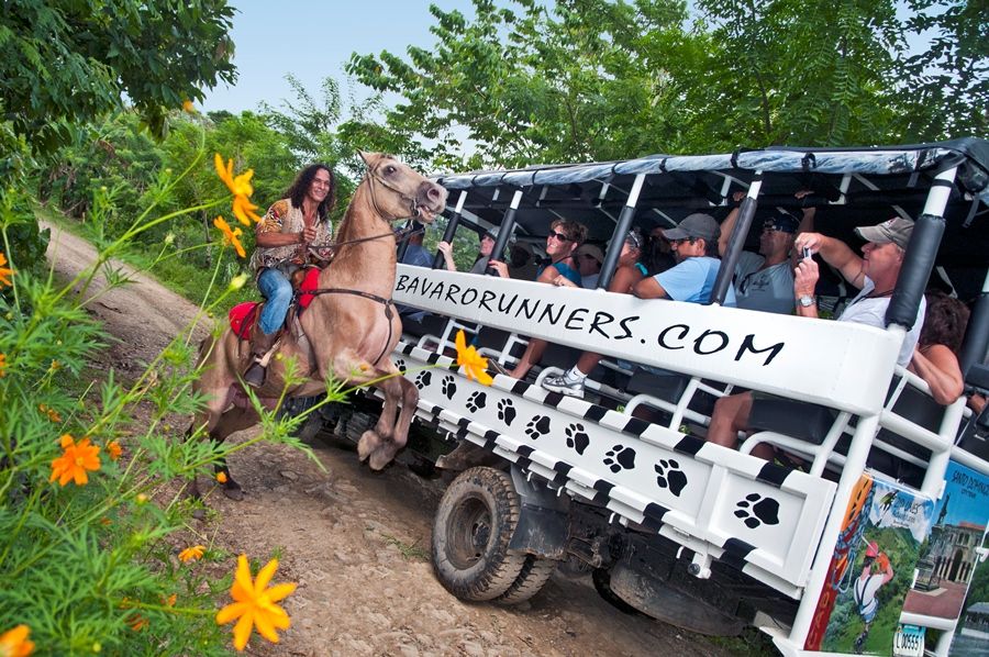 Punta Cana: Bavaro Runners Safari Tour - Booking Information and Pricing