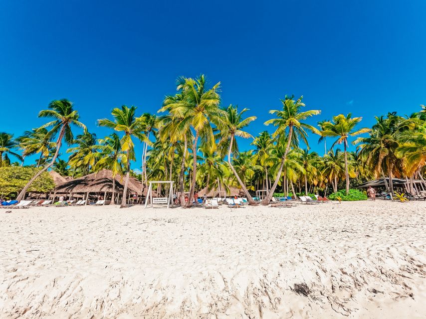 Punta Cana: Catamaran Boat to Saona Island With Buffet Lunch - Customer Feedback on Tour Elements