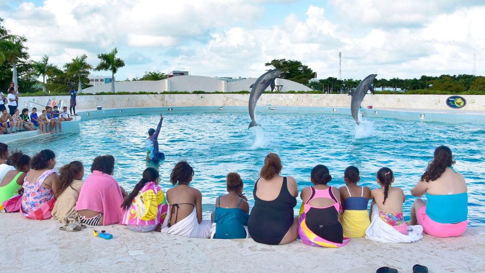 Punta Cana: Dolphin Discovery Swims and Encounters - Language Options and Instructor Availability