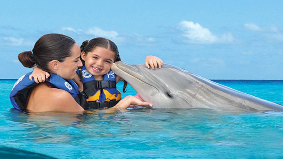 Punta Cana Dolphin Discovery - Additional Information