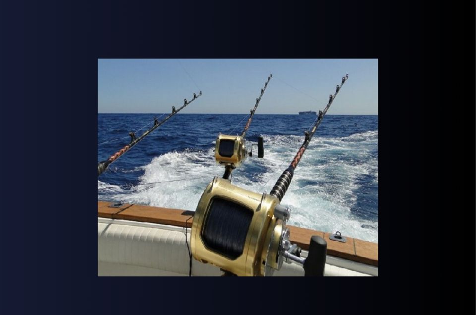 Punta Cana: Fishing Charters - Private Boat Excursion Vip - Tailored Fishing Adventures in Punta Cana