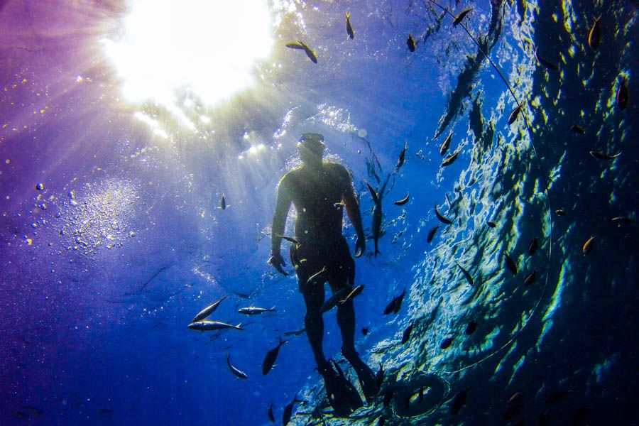Punta Cana: Full-Day Snorkeling Tour to Catalina Island - Traveler Feedback