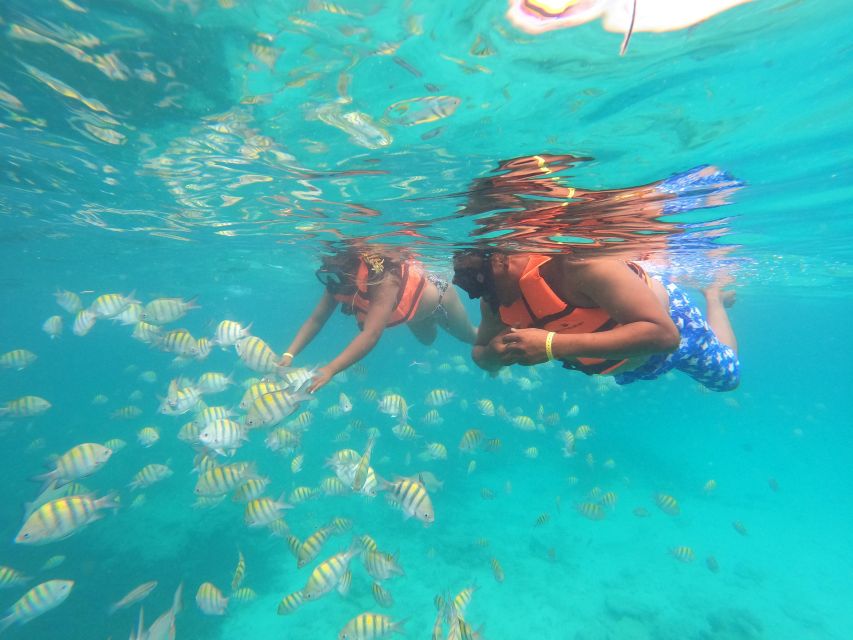 Punta Cana: Speedboat and Snorkeling Adventure - Common questions