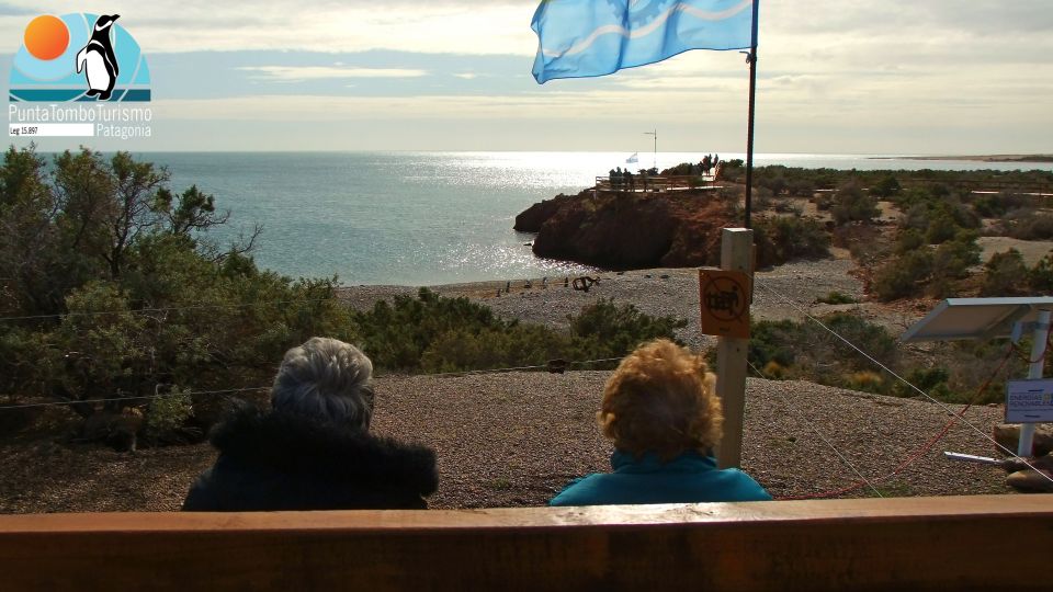 Punta Tombo: Shore Excursion for Cruise Passengers - Meeting Point Details