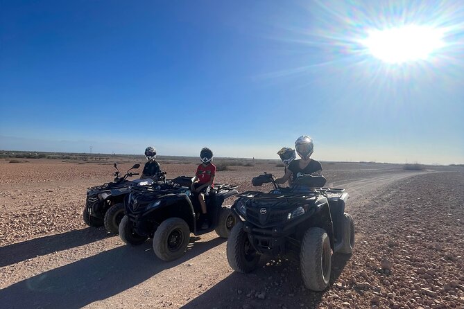 Quad and Camel Ride in the Palm Grove With Transport - Convenient Hotel Pickup and Drop-off