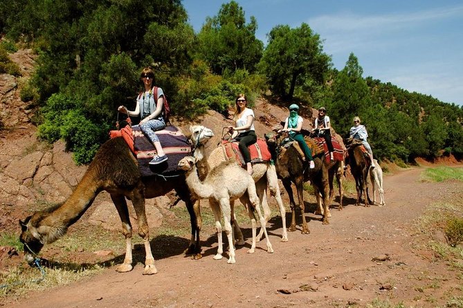 Quad Biking and Camel Ride Guided Day Trip From Marrakech - Setti Fatma Exploration