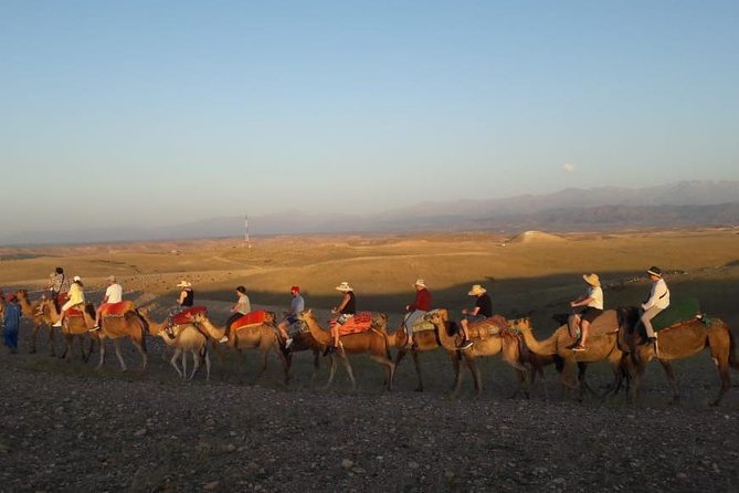 Quad Biking & Camel Ride Agafay Desert With Lunch or Dinner - Company Details