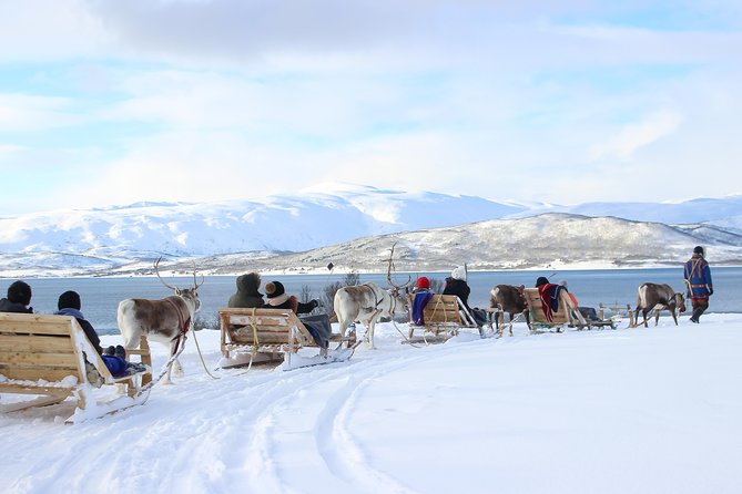 Reindeer Sledding Experience and Sami Culture Tour From Tromso - Dress Warmly for a Magical Experience