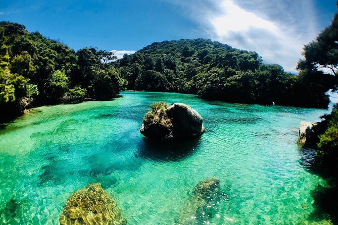 Remote Marine Reserve - Guided Kayaking - New Zealand - Common questions