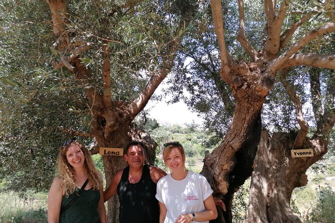 Rethymnon Olive Tree Sponsorship Protect and Plant Tour - Sponsorship Name Plaque Notification